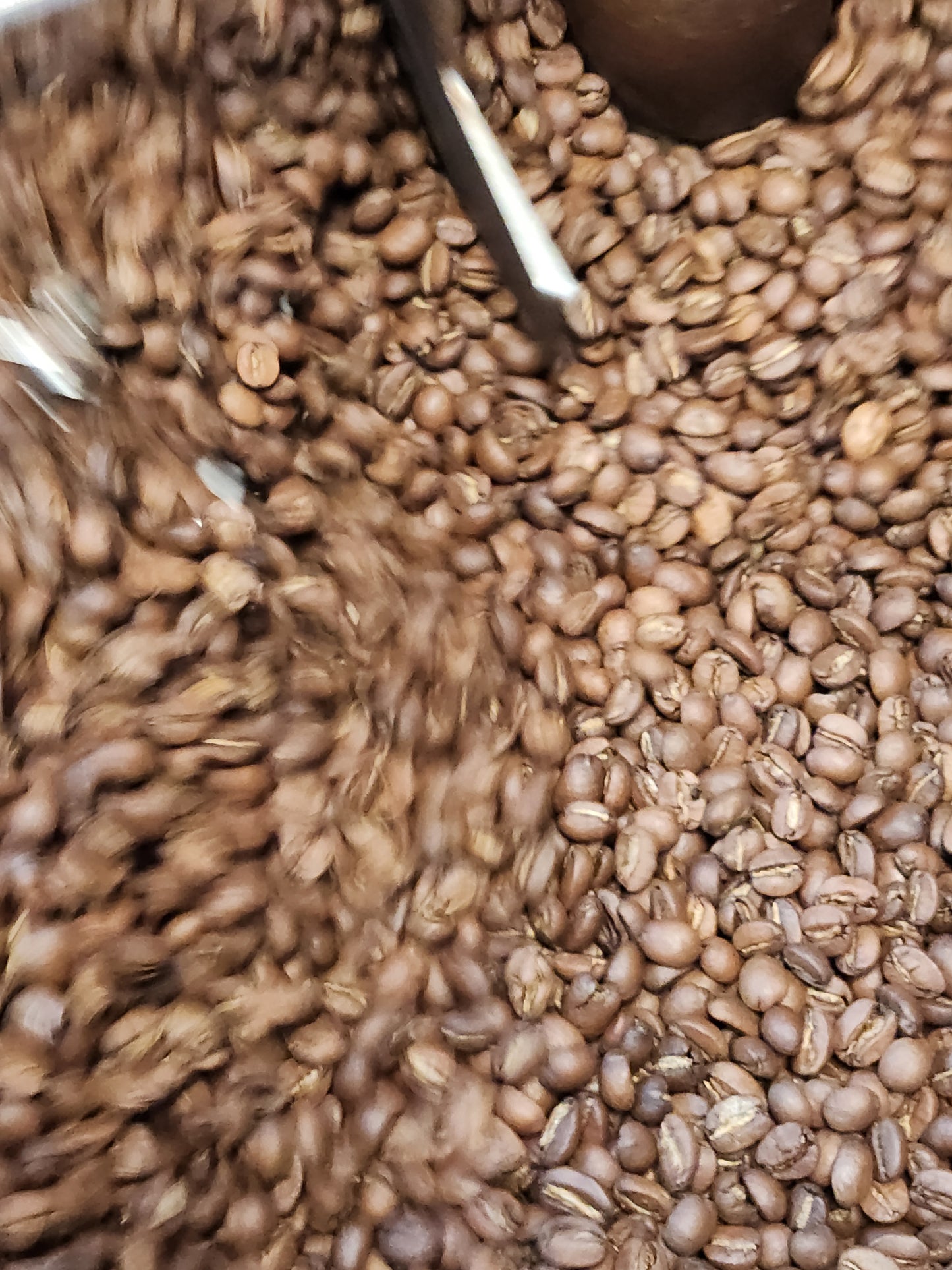 New - Green Coffee Beans- Not Roasted - La Providencia