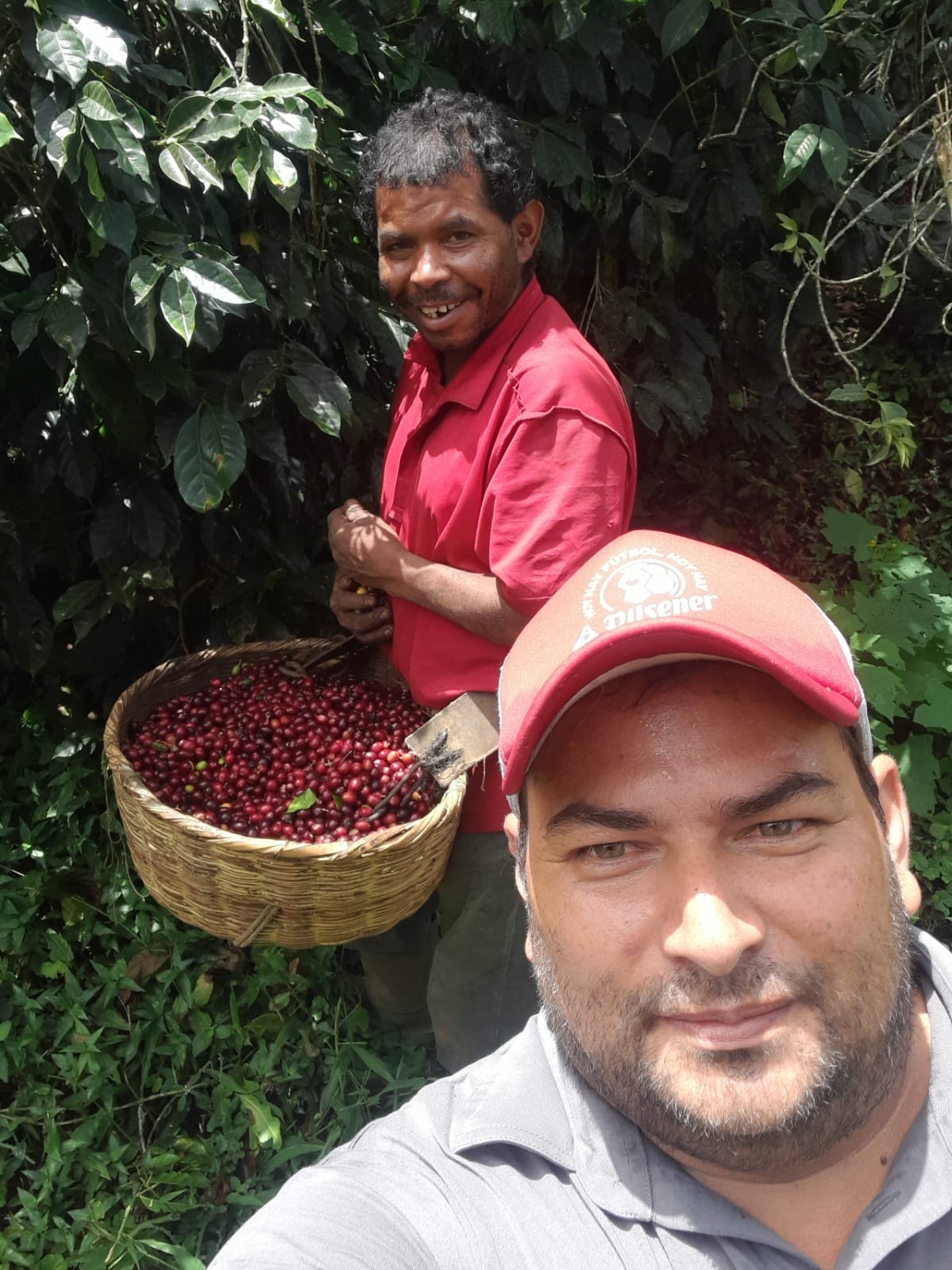 COFFEE: Finca La Libertad - Medium Dark Roast
